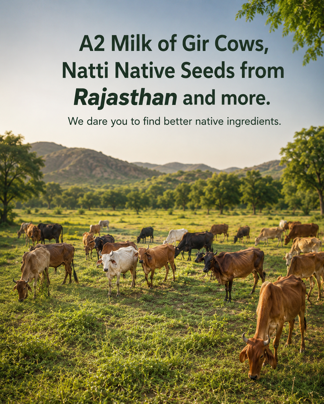 Native Ingredient